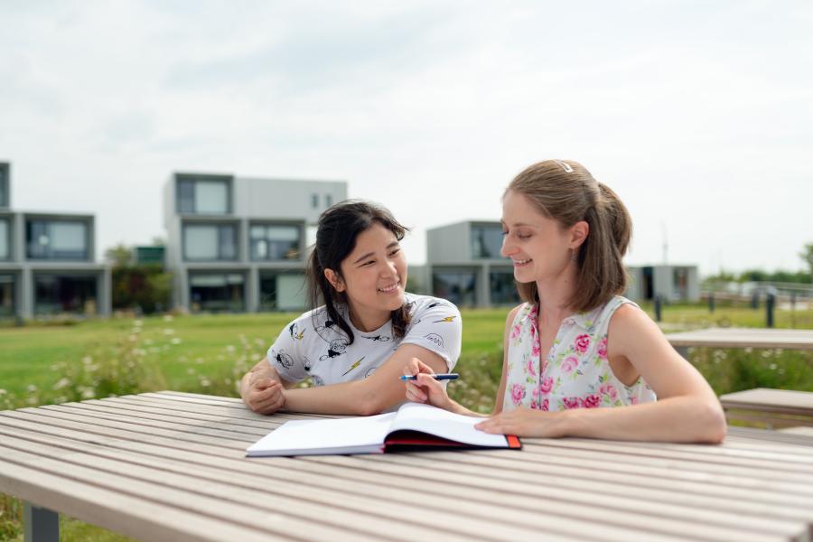 Exam techniques and revision tips