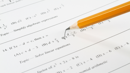 Primary schoolgirl, 10, gets highest possible IQ score in Mensa test - beating Albert Einstein and S
