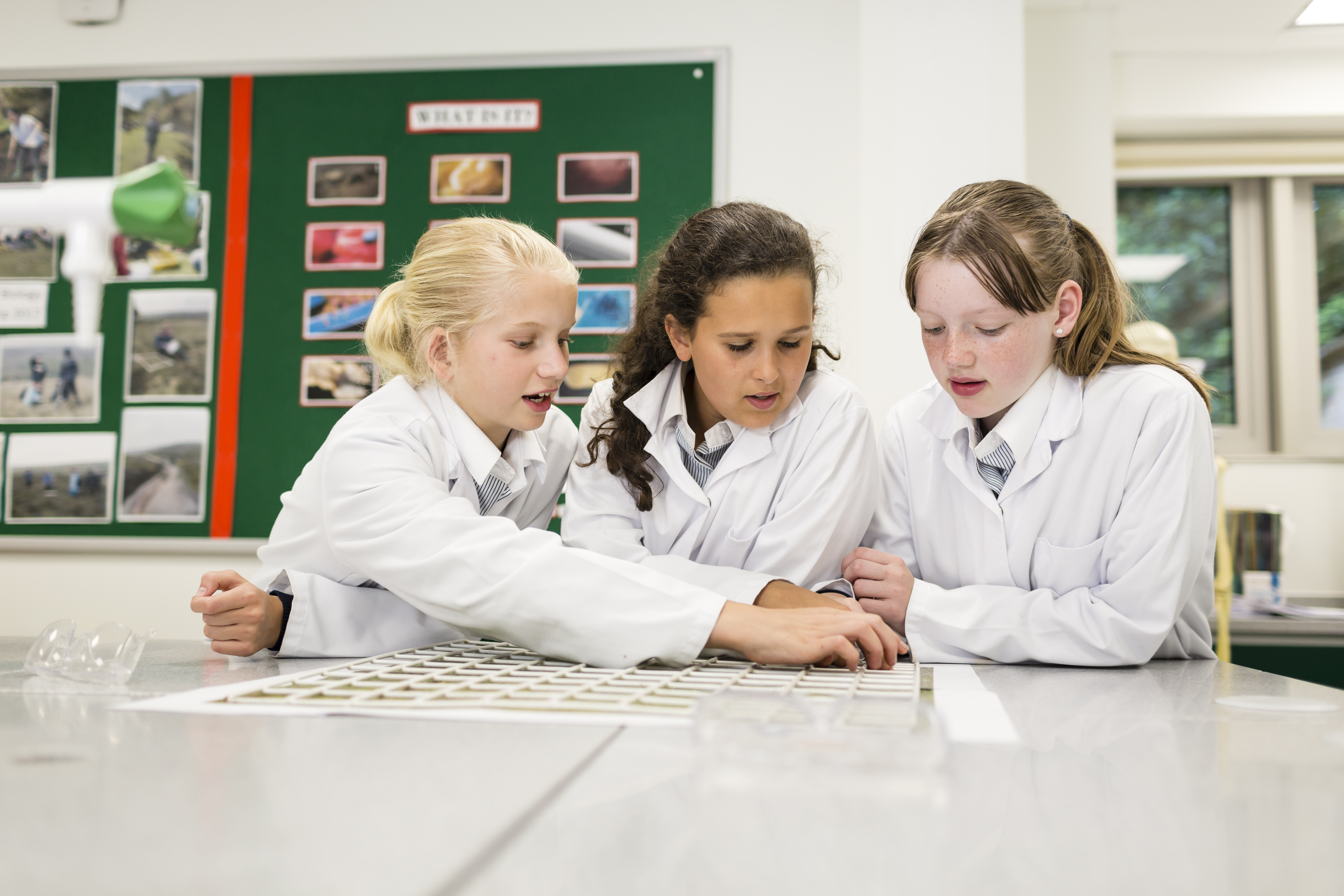 Heathfield School