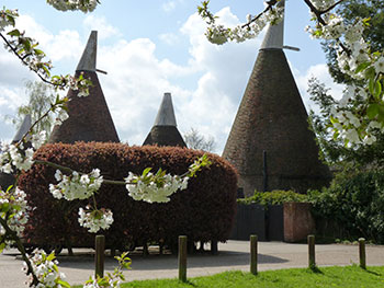 Best Schools and Education Advisers Office in Wateringbury Kent